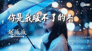 赵薇薇 - 你是我暖不了的冬「孤零零的我却没有你关心」【🎧AI高质音乐 / 拼音歌词 Pinyin/Eng Lyrics】