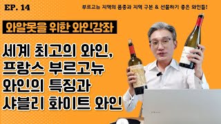 [생초보 와인강좌14강] 프랑스 부르고뉴 와인의 특징과 샤블리 화이트 와인의 등급 분류 + 굴 요리 곁들이기!