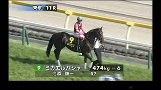 東京11R プリンシバルS《L》本馬場入場