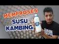 Cara / Kaedah Memproses Susu Kambing - EP2 KERJAYA