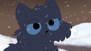 Rainwhisker