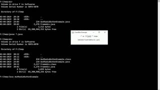 AWT Radio Button Example