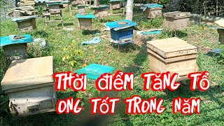 Thời điểm nhân đàn tốt nhất