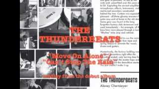 The THUNDERBEATS \