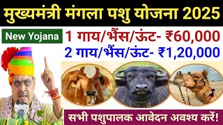 मुख्यमंत्री मंगला पशु योजना 2025 // mukhymantri Mangla pashu Yojana 2025 // नई योजना 2025