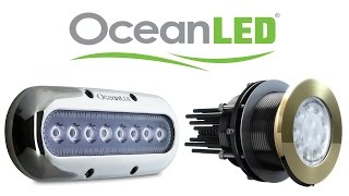 BLA - Trade Talk - OceanLED -  Marine Lighting