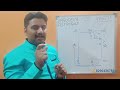 ವಾಸ್ತು ಪ್ರಕಾರ ಗಿಡ ಮರ ಎಲ್ಲಿ ಬೆಳೆಸಿದರೆ ಅಭಿವೃದ್ಧಿ ಈಶಾನ್ಯ ದಿಕ್ಕು ಬೆಳೆಸಿದರೆ ಉತ್ತಮ ವಾಸ್ತು ಫಲ eshanya site