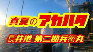 【真夏のアカハタ】　４時間ハーフ船チャレンジ