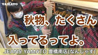 豊橋市　なんじゃす　ジーンズヤマト　豊橋南　シャツ　秋物　アート