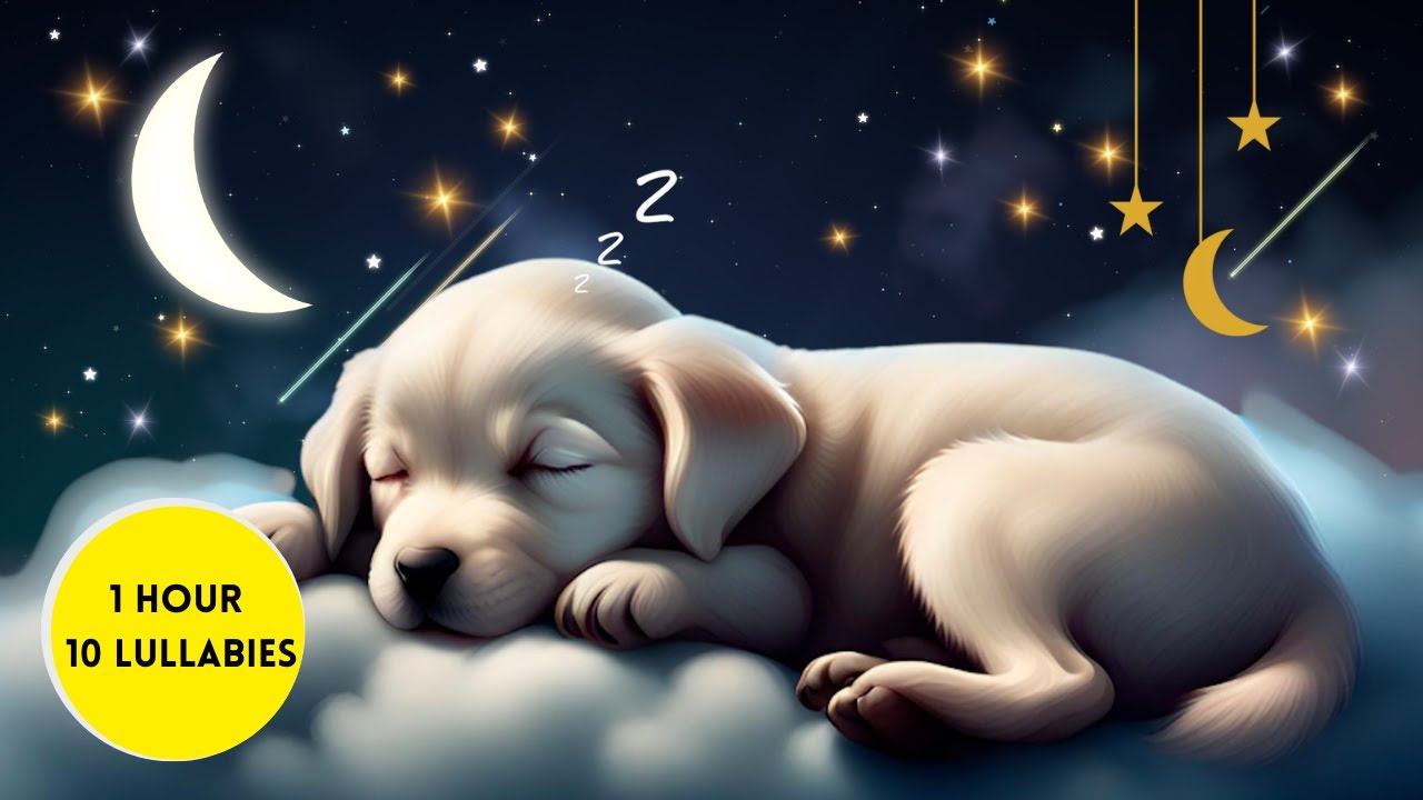 Bedtime Lullabies For Babies Playlist ♫♫ 1 Hour Baby Sleep Music Mix ...