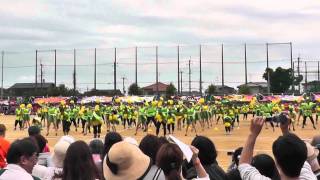 2014 池田高校　体育祭　緑団