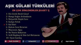 Aşık Gülabi Türküleri  (En Çok Dinlenen Türküler Bölüm 1) #aşıkgülabi