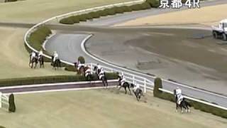 2010年2月14日 京都4R 障害未勝利 全周パトロール