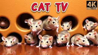 Cat TV for Cats 🐾 Mice Sneaking \u0026 Playing Hide \u0026 Seek 🐭 4K UHD