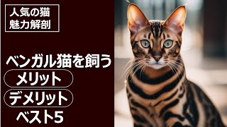 人気の猫 魅力解剖！ベンガル猫を飼うメリット・デメリットベスト5