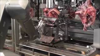 MAYEKAWA / WANDAS - RX-automated pork shoulder deboning machine