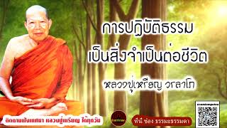 การปฏิบัติธรรมเป็นสิ่งจำเป็นต่อชีวิต เสียงเทศน์ หลวงปู่เหรียญ วรลาโภ (ไม่มีโฆษณาแทรก)