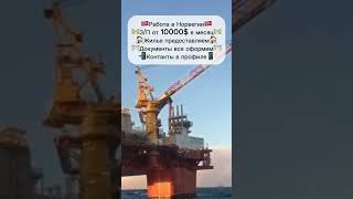 Работа в Норвегии на нефтяной платформе #вакансии #работа #работавевропе