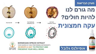 מה גורם לנו להיות חולים   עקה חמצונית.