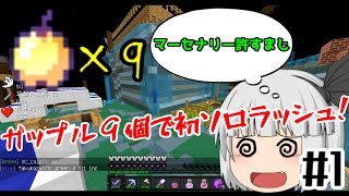 [ANNI]ガップル9個でソロラッシュ！[ゼロから妖夢が世界一の殲滅者を目指すようです。]#1[ゆっくり実況]