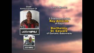 Lucita Pamphile long