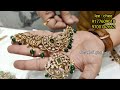 begumbazar wholesale market నుండి jewellery collection లో కొత్తవి