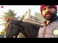 રાજલની સવારી ❤️ jay sakariya horse riding horses horse video equestrian marwari horse