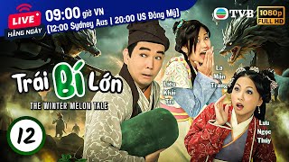 Phim TVB Trái Bí Lớn (The Winter Melon Tale) 12/20 | Trần Cẩm Hồng, Tô Ngọc Hoa | 2009