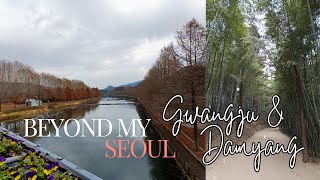 BeyondMYSeoul ep.11 Gwangju \u0026 Damyang #travelvlog #korea #juknokwon #metasequoiaroad