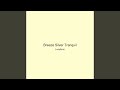 Breeze Silver Tranquil