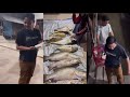 Fishing Results from Mr H Alwi Ruslan In-Law Putri Isnari || Azis and Sis Zeky also helped