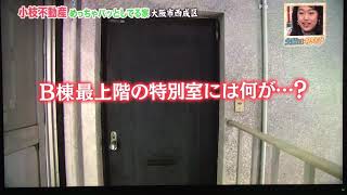 【小枝不動産】めっちゃパッとしてる家 Part1 （趣味のお部屋も作れます！ゴルフ練習部屋、パター練習場）