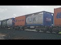 7902v pn fruitflyer to melbourne 1250 9 8 24 tatyoon north vic