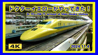 大興奮 !!! ドクターイエローがやってきた！のぞみ検測 新大阪駅 2024.11.4【4K】