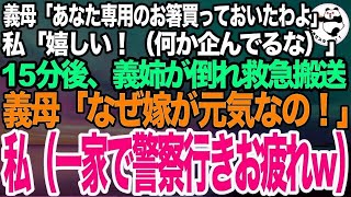 【スカッとする話】義実家での食事会で義母「あなた専用のお箸よ」私「嬉しいです！（何か企んでるな）」→15分後、義姉が苦しみ始め義母「なぜお前が元気なの？！」私「警察呼んでおきますね」