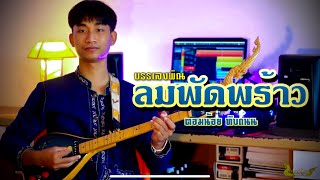 บรรเลงพิณ ลายลมพัดพร้าว-[ตอมน้อย ทับถนน]