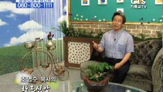 [CTS로뎀나무] 조영수 목사 / 창조신앙 100805