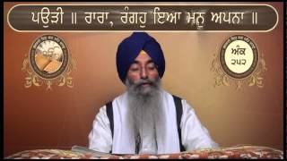 Ank 247 To 262 Shri Guru Granth Sahib Santhia Path By Giani Jagtar Singh Jachak