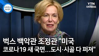 벅스 백악관 조정관 \