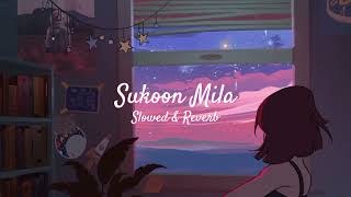 Sukoon Mila || Slowed Reverb || LO FI #sukoonmila #slowedreverb #marykom