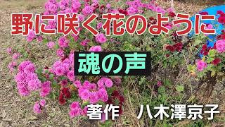 【野に咲く花のように】【愛の詩】【私のポエム】【魂の声】