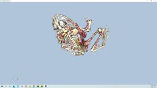 VTK Python Example - FrogReconstruction, Fig12-9b