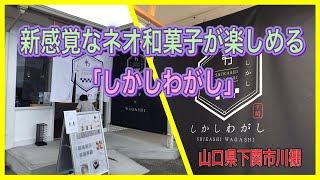 山口県下関市　テレビで紹介された和菓子屋しかしわがし　#山口県スイーツ