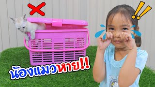 แมวหาย! ร้านรับเลี้ยงสัตว์ ทำแมวน้องบลิ้งค์หลุดหายไป | บริ้งค์ไบรท์