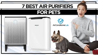 7 Best Air Purifiers For Pets