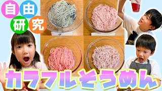 【自由研究】市販の◯◯を使って不思議な色変わり実験！カラフルそうめんも作って食べてみた！【DIY】