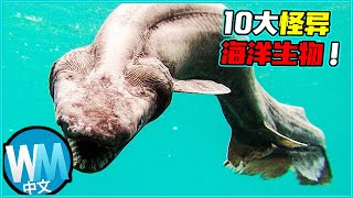 【10大】「號稱最怪異和罕見的海底生物」一起探索海洋深處的奧秘，海裡究竟還隱藏著什麼不為人知的奇葩動物呢？