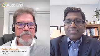 Reshaping Energy Infrastructure: Scaling Microgrids through Standardization and VPPs