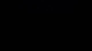 Coyote Barking Solo Audio