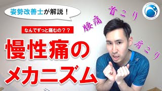 「慢性痛のメカニズム」姿勢・動作改善トレーナー”姿勢改善士”が解説！